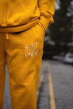 Load image into Gallery viewer, ILL SWEATPANTS
